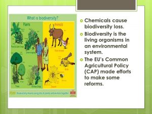 How do chemicals affect the environment apex