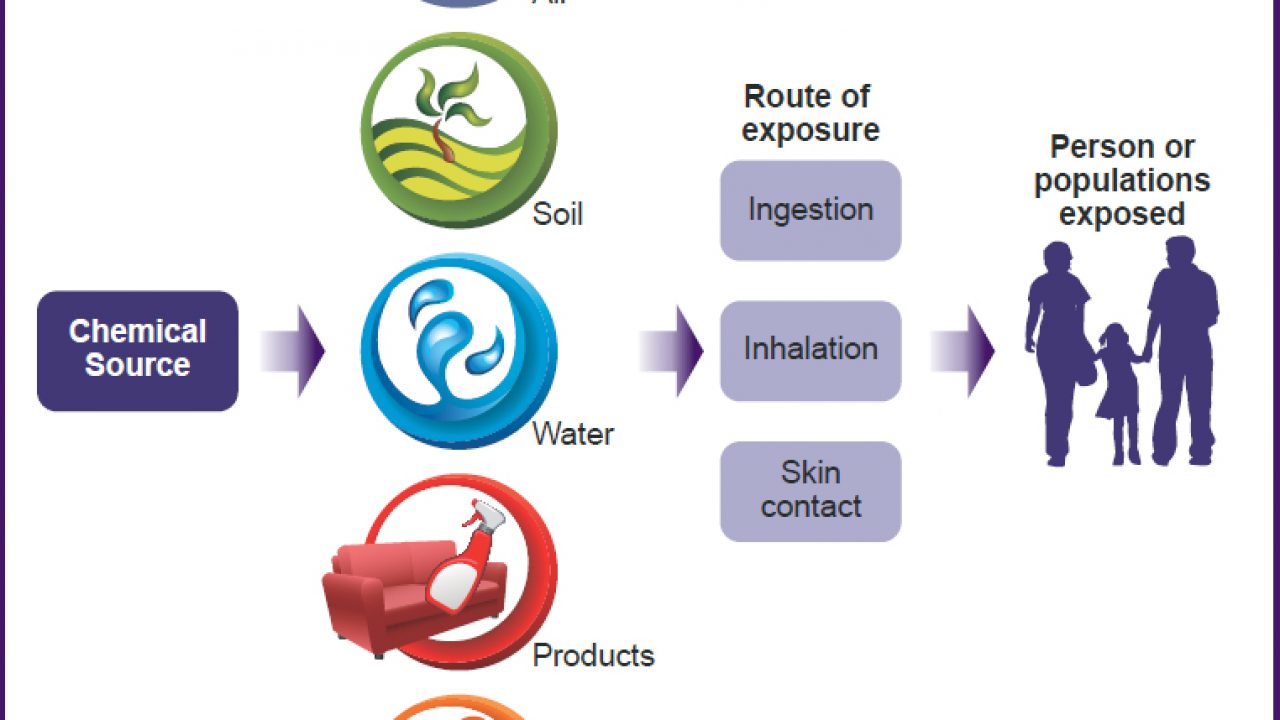 20 Harmful Effects Of Environmental Chemicals To Human Health Az Chemistry